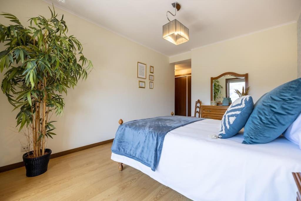 Casa Da Tia Douro Apartment Peso da Régua